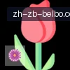 BB体育下载 logo