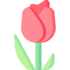 BB体育下载 logo